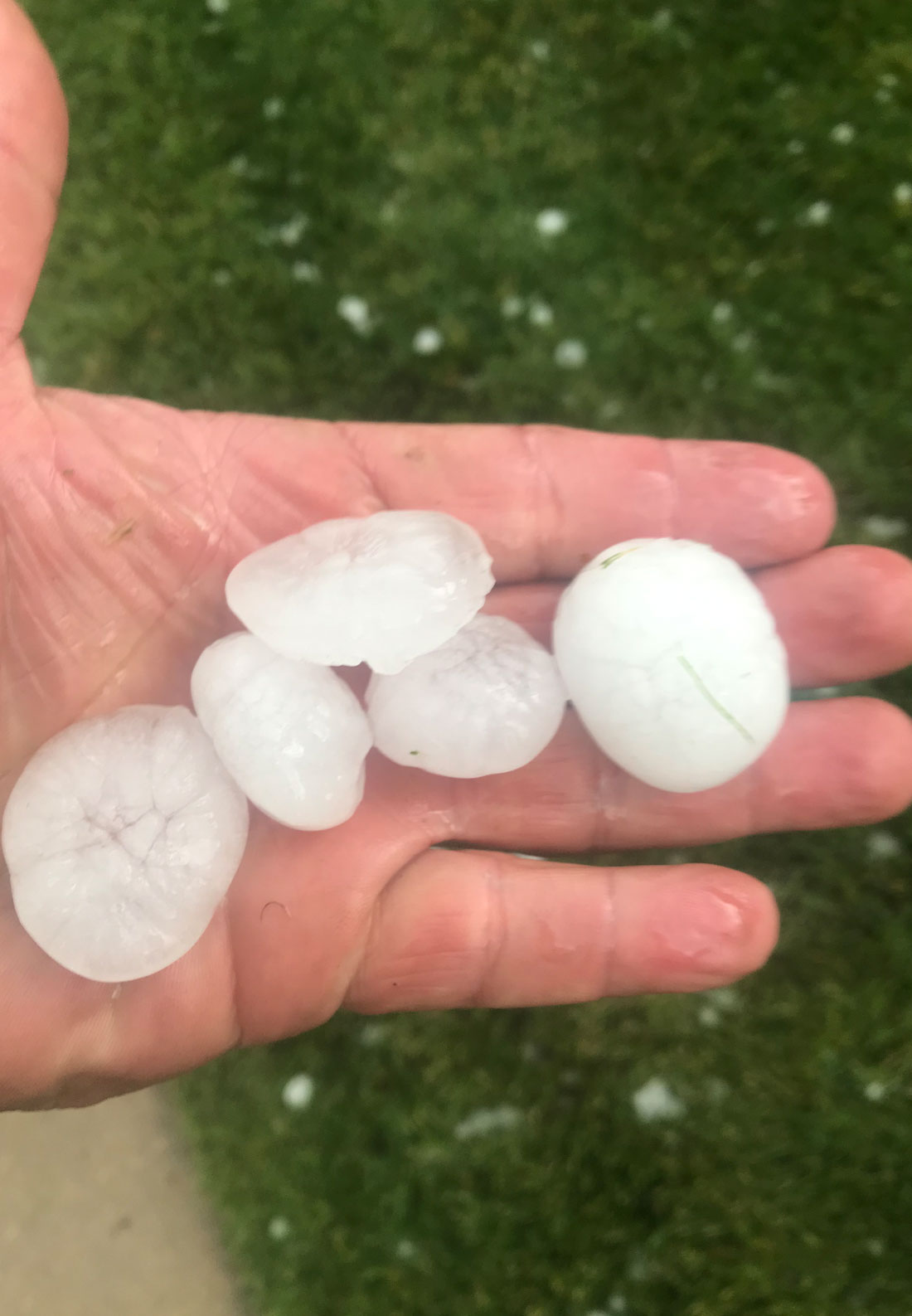 Hail