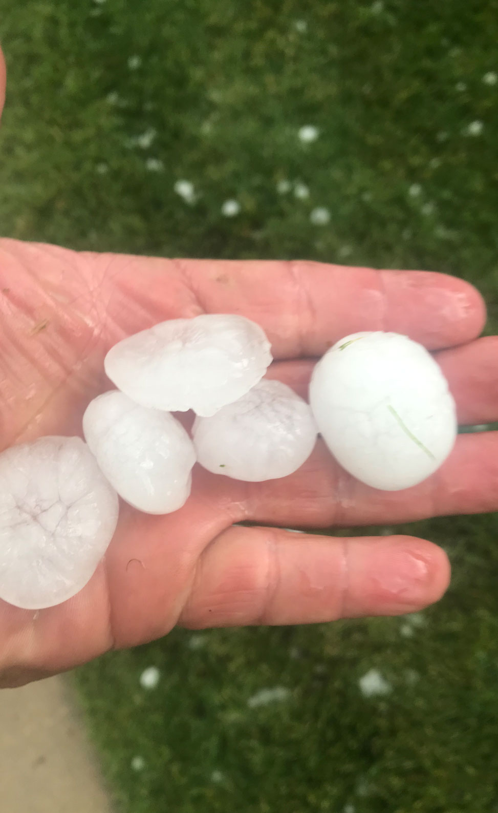 Hand Holding Hail