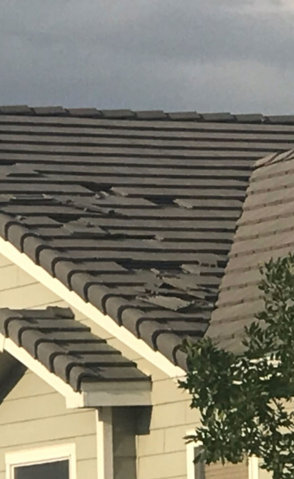 Roof Shingle Damage
